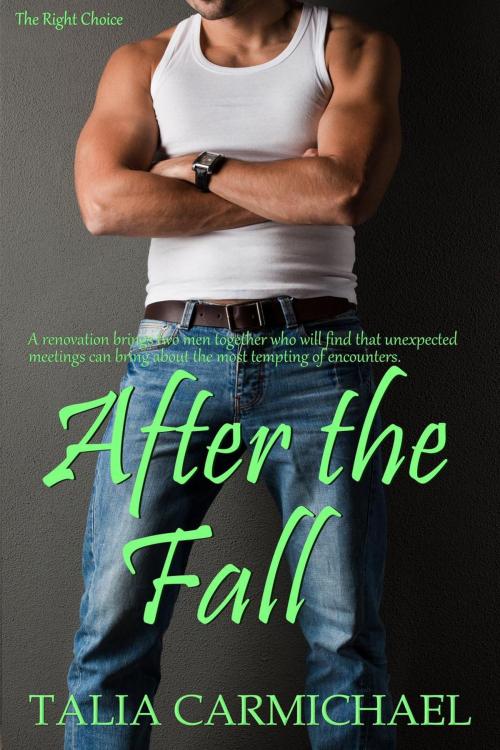 Cover of the book After the Fall by Talia Carmichael, Simply Sophisticated Publishing