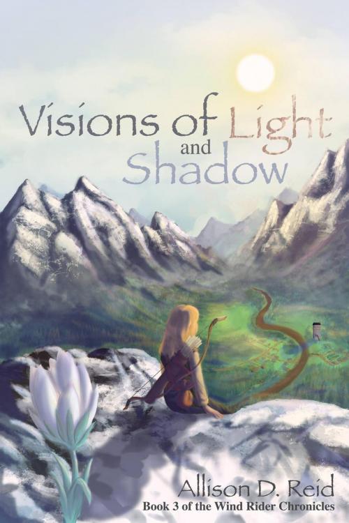 Cover of the book Visions of Light and Shadow by Allison D. Reid, Allison D. Reid