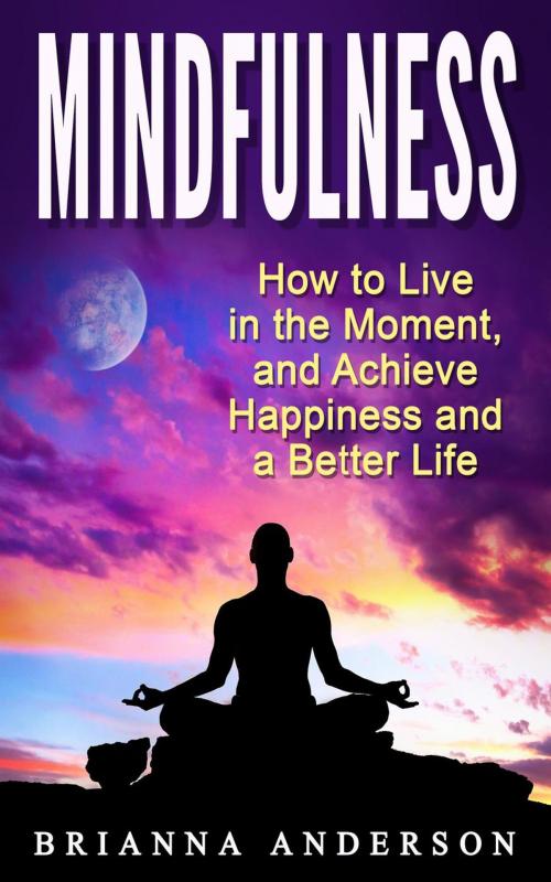 Cover of the book Mindfulness: How to Live in the Moment, and Achieve Happiness and a Better Life by Brianna Anderson, Insight Health Communications