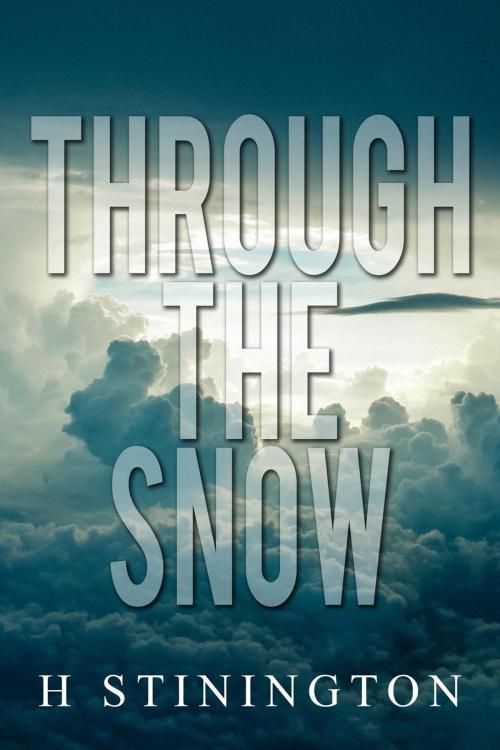 Cover of the book Through the Snow by H Stinington, H Stinington