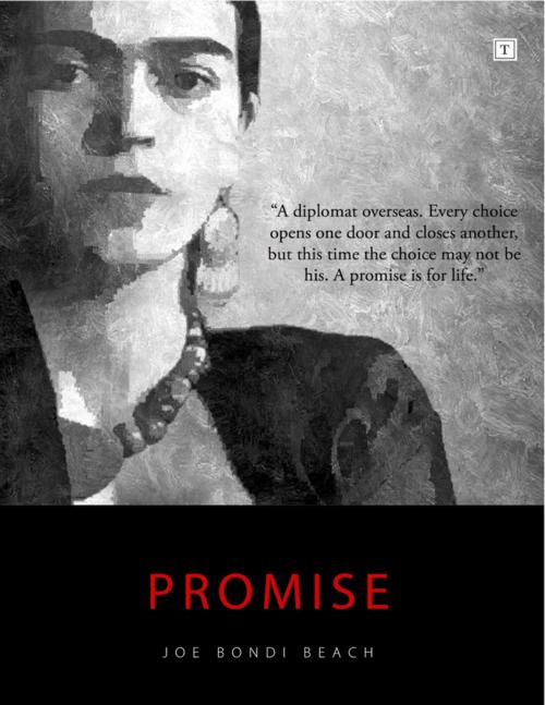 Cover of the book Promise by Joe Bondi Beach, Lulu.com
