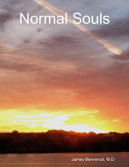 Cover of the book Normal Souls by James Benvenuti, M.D., Lulu.com