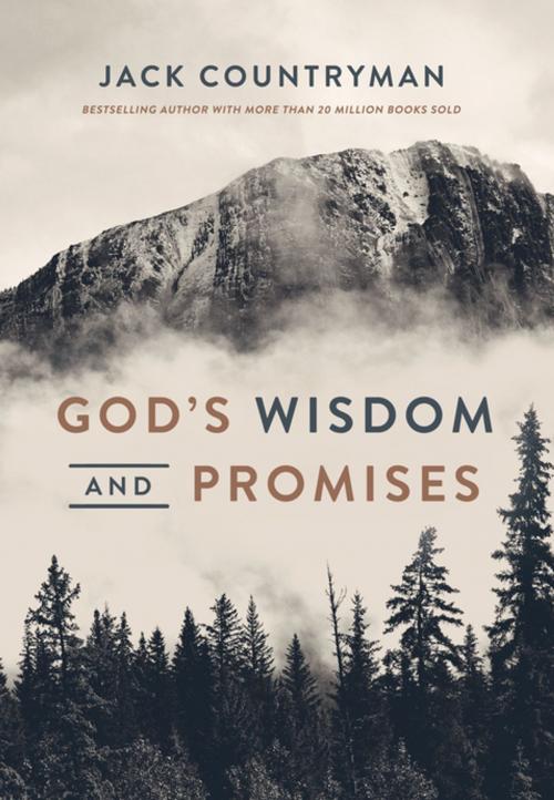 Cover of the book God's Wisdom and Promises by Jack Countryman, Thomas Nelson