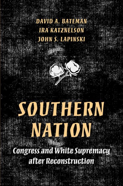 Cover of the book Southern Nation by David Bateman, Ira Katznelson, John S. Lapinski, Princeton University Press