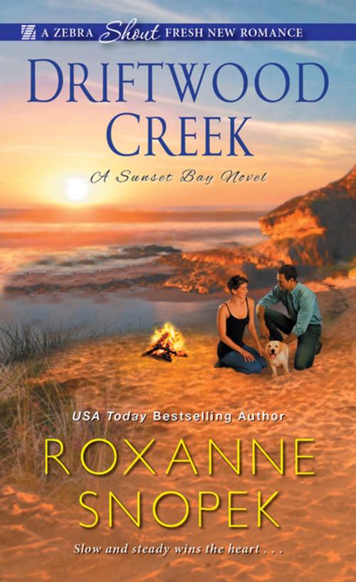 Cover of the book Driftwood Creek by Roxanne Snopek, Zebra Books