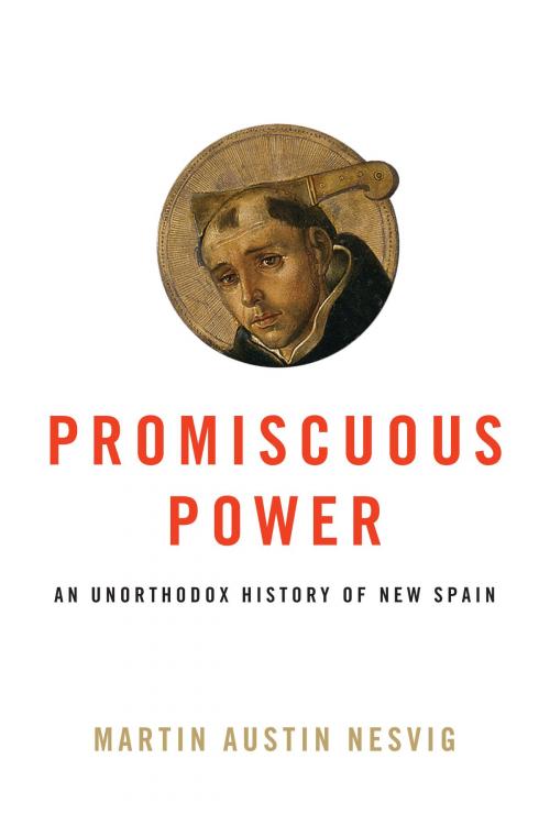 Cover of the book Promiscuous Power by Martin Austin Nesvig, University of Texas Press