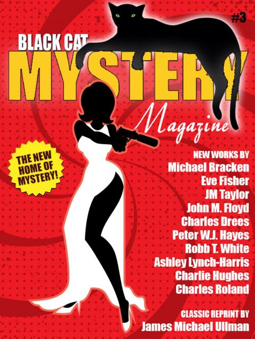 Cover of the book Black Cat Mystery Magazine #3 by Michael Bracken, John M. Floyd, Wildside Press LLC