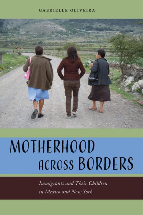 Cover of the book Motherhood across Borders by Gabrielle Oliveira, NYU Press