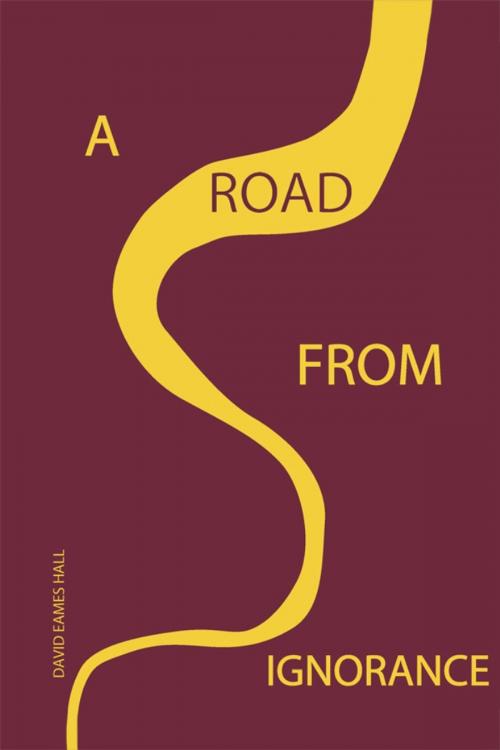 Cover of the book A Road from Ignorance by David Eames Hall, Dorrance Publishing