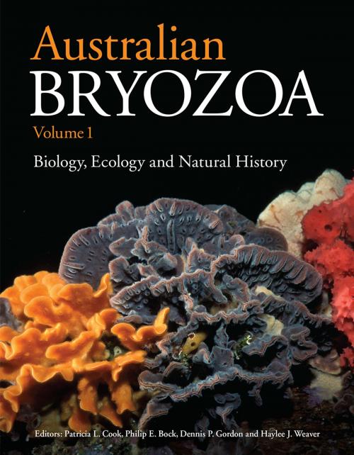 Cover of the book Australian Bryozoa Volume 1 by , CSIRO PUBLISHING