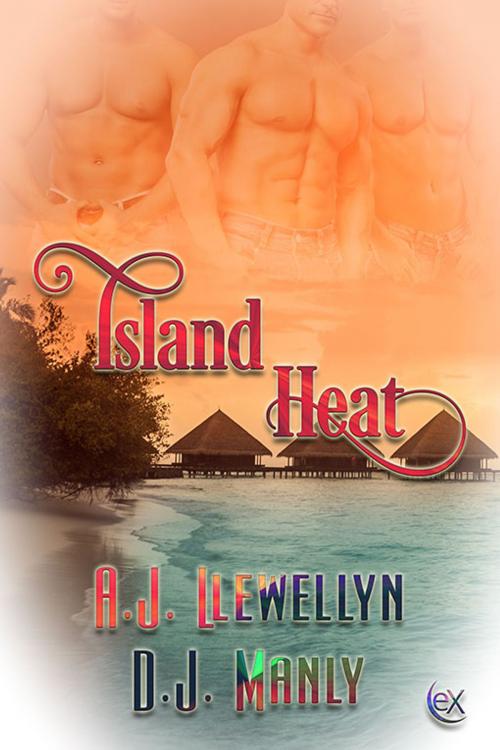 Cover of the book Island Heat by A.J. Llewellyn, D.J. Manly, eXtasy Books Inc