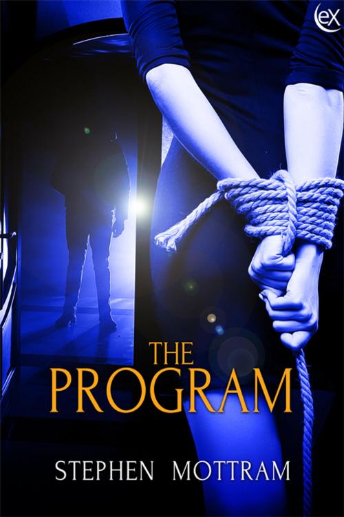 Cover of the book The Program by Stephen Charles Mottram, eXtasy Books Inc