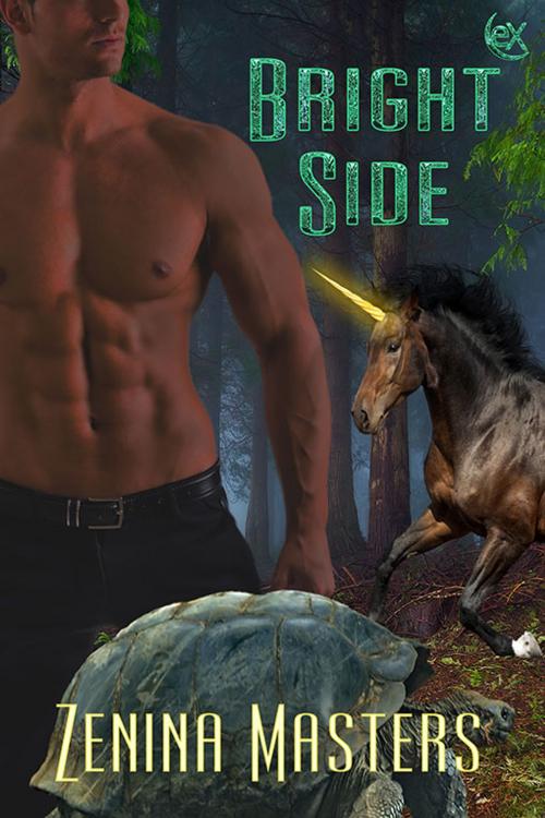 Cover of the book Bright Side by Zenina Masters, eXtasy Books Inc