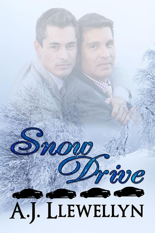Cover of the book Snow Drive by A.J. Llewellyn, eXtasy Books Inc