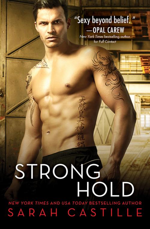 Cover of the book Strong Hold by Sarah Castille, Sourcebooks