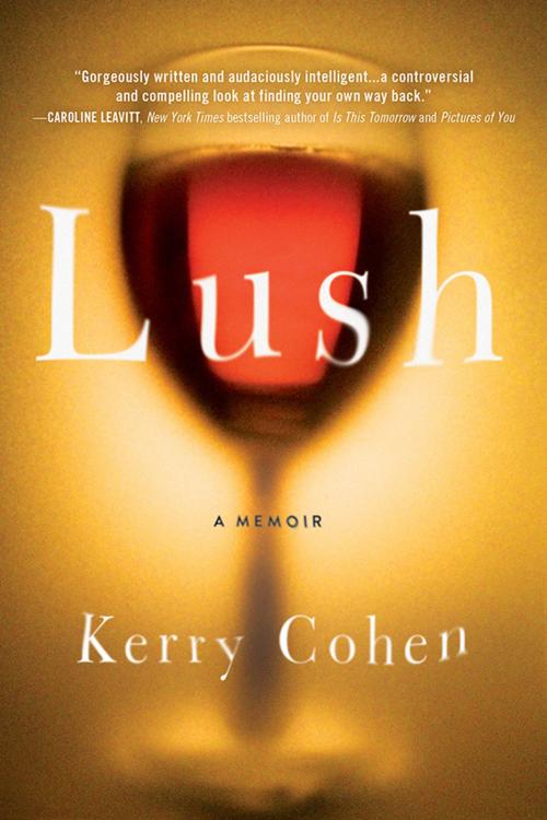 Cover of the book Lush by Kerry Cohen, Sourcebooks