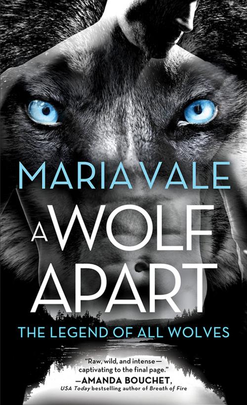 Cover of the book A Wolf Apart by Maria Vale, Sourcebooks