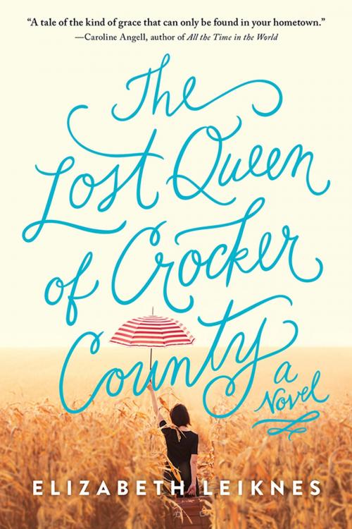 Cover of the book The Lost Queen of Crocker County by Elizabeth Leiknes, Sourcebooks