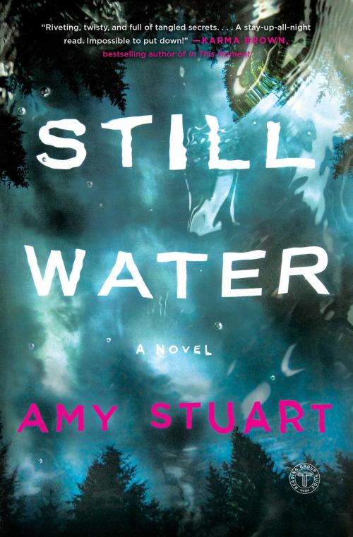 Cover of the book Still Water by Amy Stuart, Gallery Books