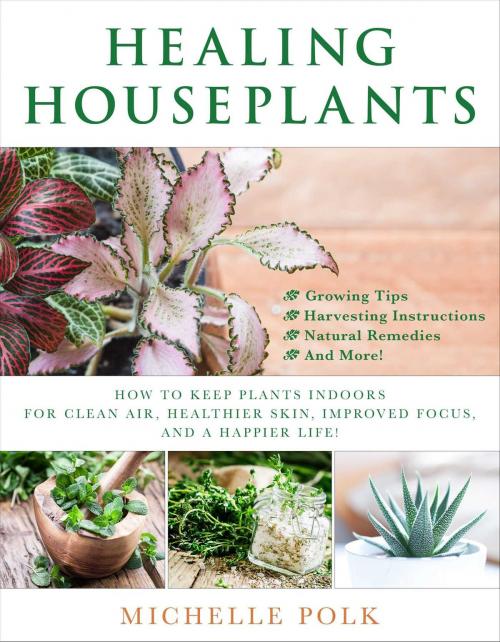 Cover of the book Healing Houseplants by Michelle Polk, Skyhorse