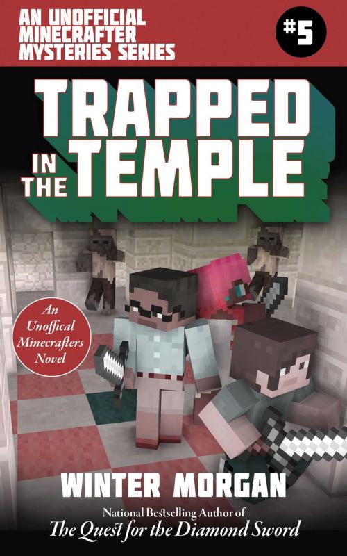Cover of the book Trapped In the Temple by Winter Morgan, Sky Pony