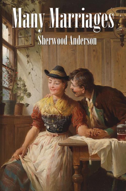 Cover of the book Many Marriages by Sherwood Anderson, Wilder Publications, Inc.