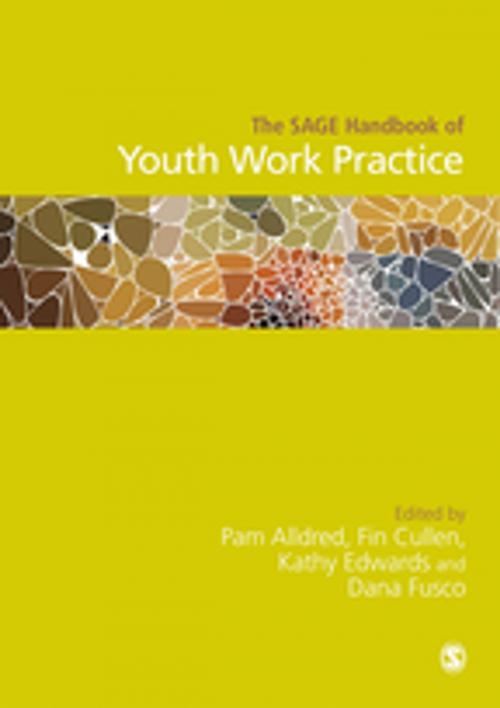 Cover of the book The SAGE Handbook of Youth Work Practice by , SAGE Publications