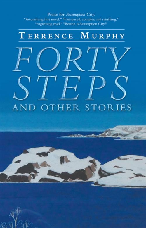 Cover of the book Forty Steps and Other Stories by Terrence Murphy, iUniverse