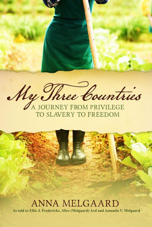 Cover of the book My Three Countries by Anna Melgaard, Alice Ard, Ellen Fredericks, Mandy Melgaard, BookBaby