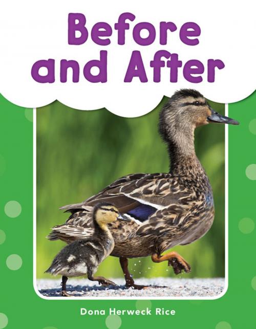 Cover of the book Before and After by Dona Herweck Rice, Teacher Created Materials