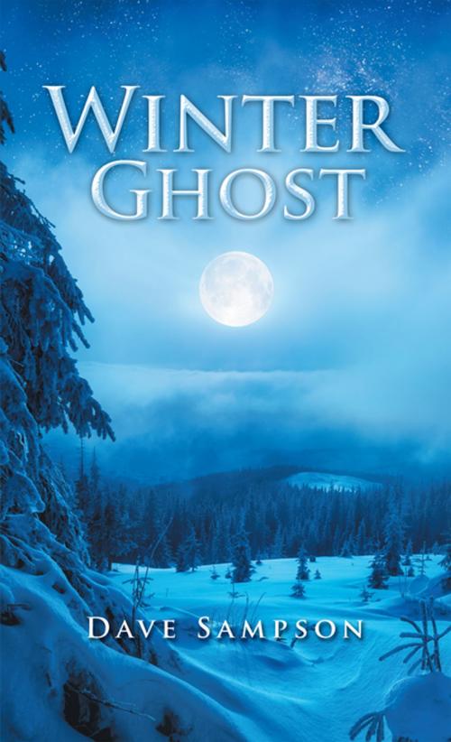 Cover of the book Winter Ghost by Dave Sampson, AuthorHouse