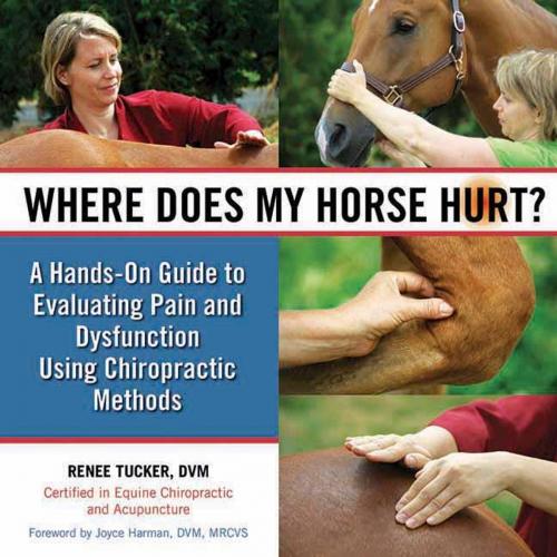 Cover of the book Where Does My Horse Hurt? by Renee Tucker, Ginger-Kathleen Coombs, Trafalgar Square Books