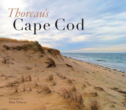 Cover of the book Thoreau's Cape Cod by Dan Tobyne, Down East Books