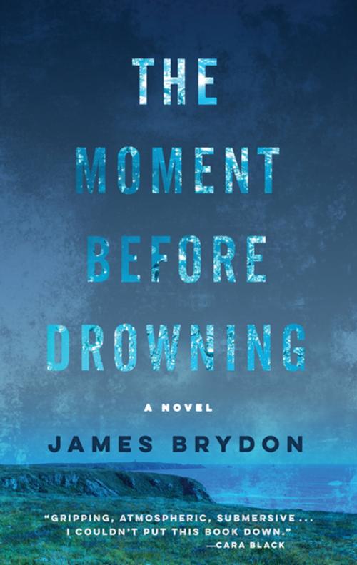 Cover of the book The Moment Before Drowning by James Brydon, Akashic Books