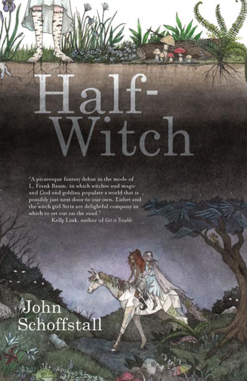 Cover of the book Half-Witch by John Schoffstall, Small Beer Press