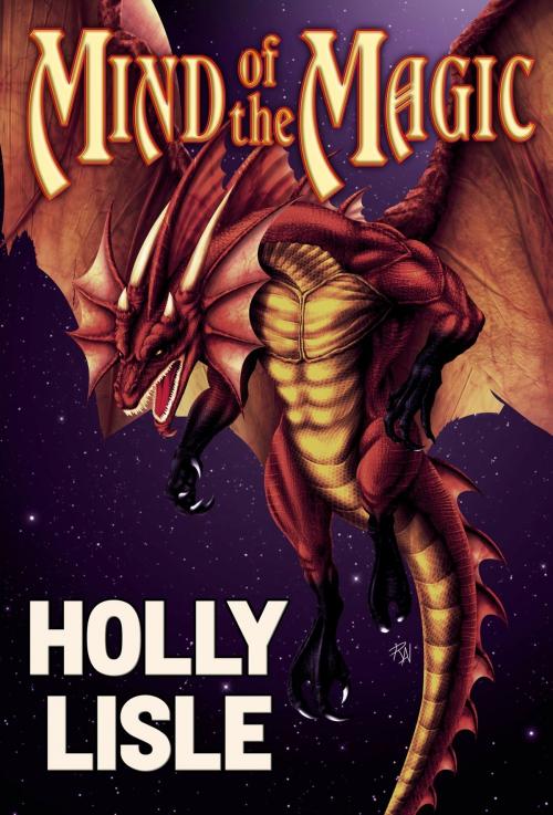 Cover of the book Mind of the Magic by Holly Lisle, Holly Lisle
