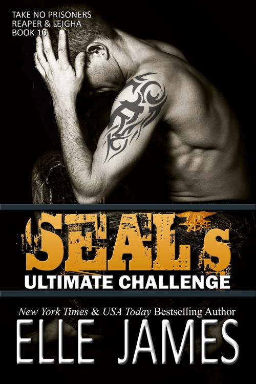 Cover of the book SEAL's Ultimate Challenge by Elle James, Twisted Page Inc