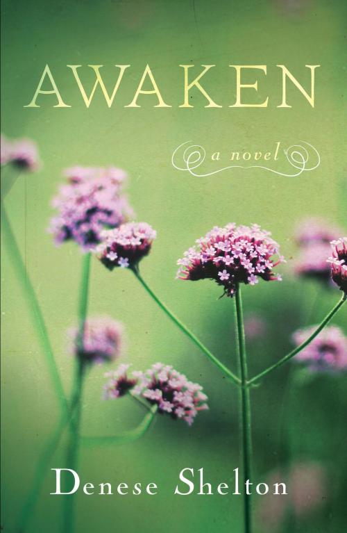Cover of the book Awaken by Denese Shelton, She Writes Press