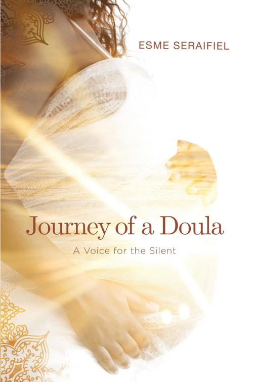 Cover of the book Journey of a Doula by Esme Seraifiel, Koehler Books