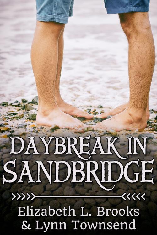 Cover of the book Daybreak in Sandbridge by Elizabeth L. Brooks, JMS Books LLC