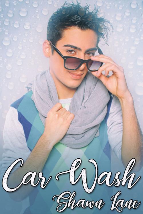 Cover of the book Car Wash by Shawn Lane, JMS Books LLC