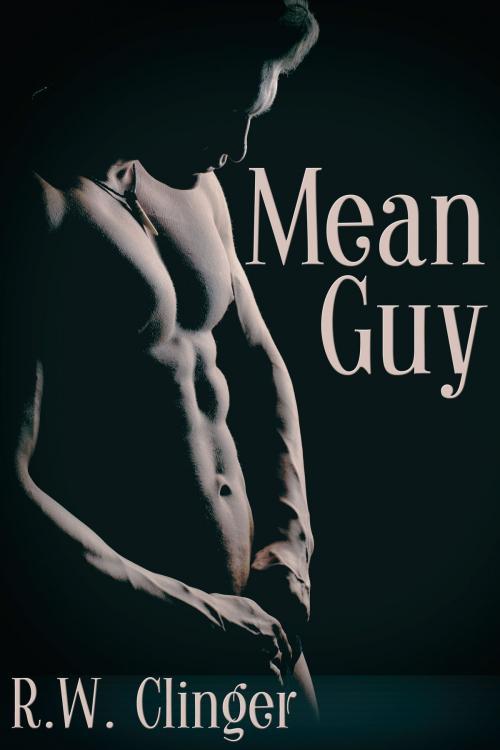 Cover of the book Mean Guy by R.W. Clinger, JMS Books LLC