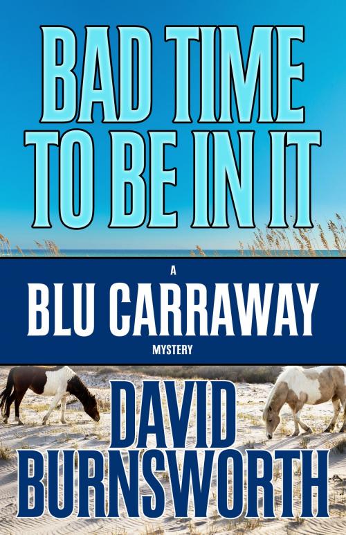 Cover of the book BAD TIME TO BE IN IT by David Burnsworth, Henery Press