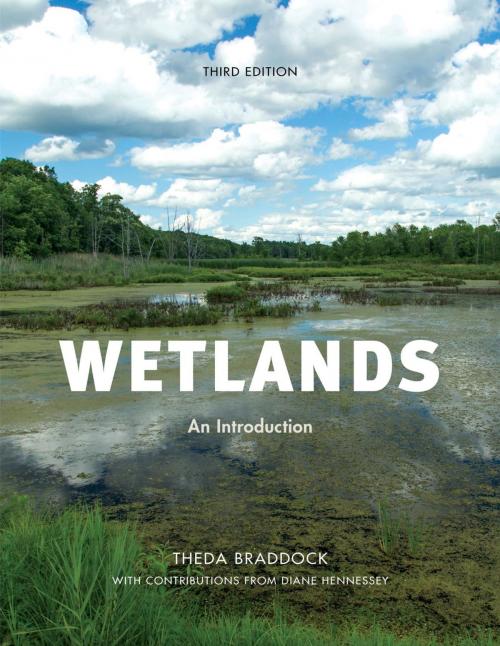 Cover of the book Wetlands by Theda Braddock, Dianne Hennessey, Bernan Press