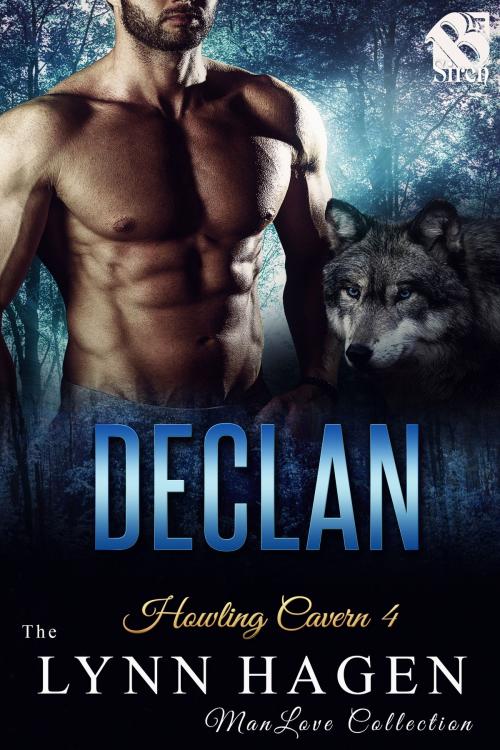 Cover of the book Declan by Lynn Hagen, Siren-BookStrand