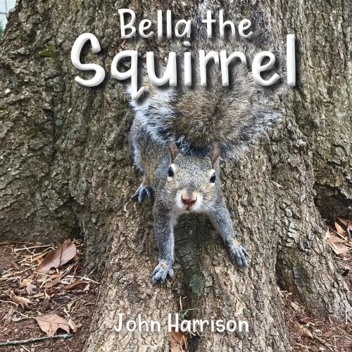Cover of the book Bella the Squirrel by John Harrison, Brantley Harrison, Delta Soup Consulting, LLC