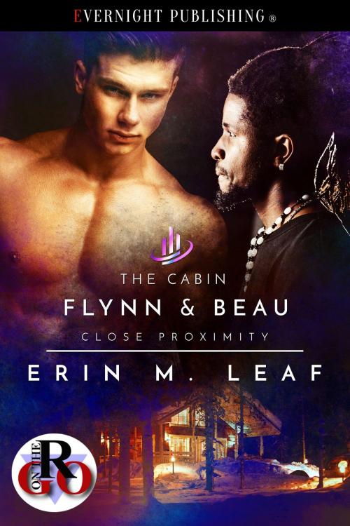 Cover of the book The Cabin by Erin M. Leaf, Evernight Publishing