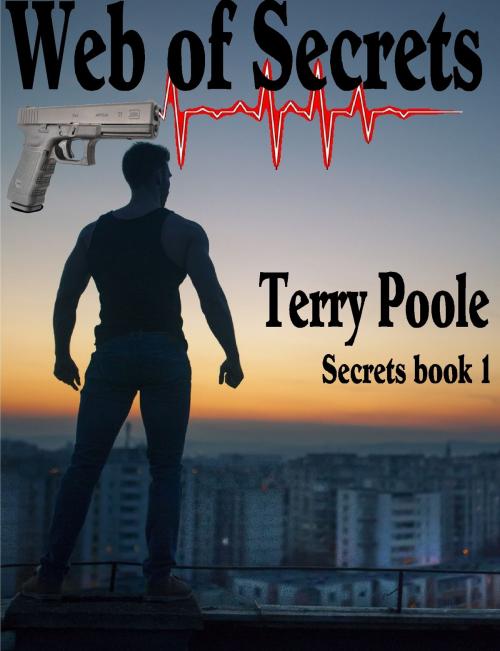 Cover of the book Web of Secrets by Terry Poole, Terry Poole