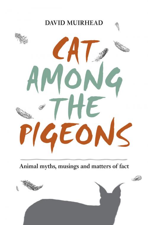 Cover of the book Cat among the pigeons by David Muirhead, Penguin Random House South Africa