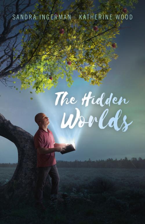 Cover of the book The Hidden Worlds by Sandra Ingerman, Katherine Wood, John Hunt Publishing